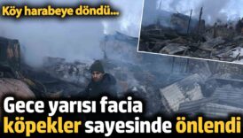 gece yarisi facia kopekler sayesinde onlendi 1vZKBPH9