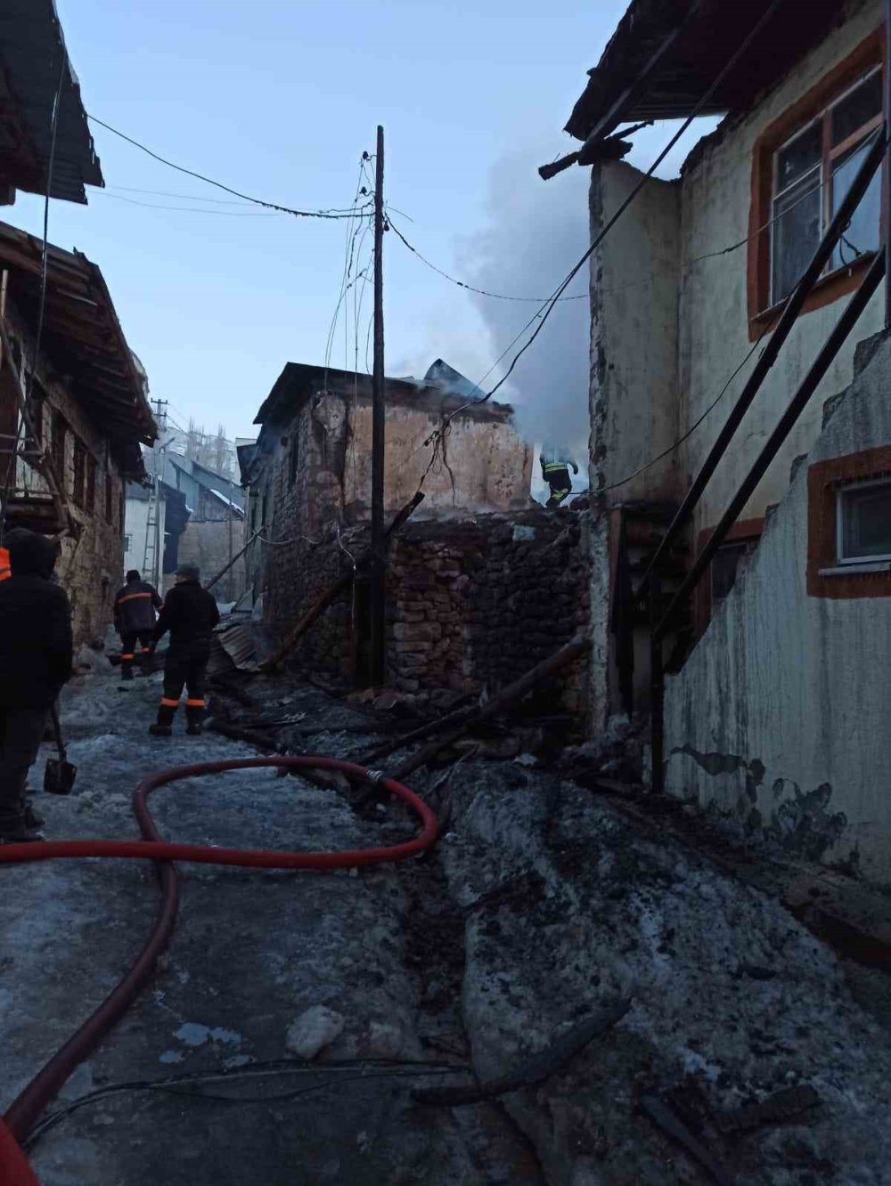 gece yarisi facia kopekler sayesinde onlendi 8