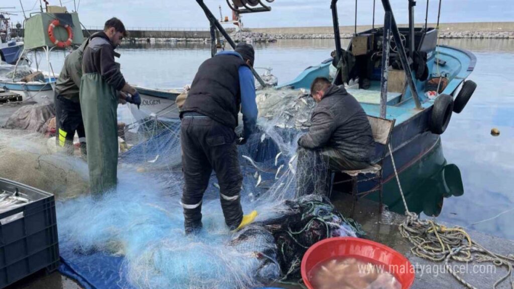 gemlik korfezinde 4 yil sonra yeniden balikcilar denize acilamadi bTYwaeJr