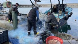 gemlik korfezinde 4 yil sonra yeniden balikcilar denize acilamadi bTYwaeJr