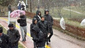 golcuk tabiat parkinda kar yagisi etkili oluyor EBpxGA8t