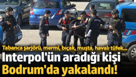 interpol tarafindan kirmizi bultenle araniyordu bodrumda yakalandi fjLrlJYd