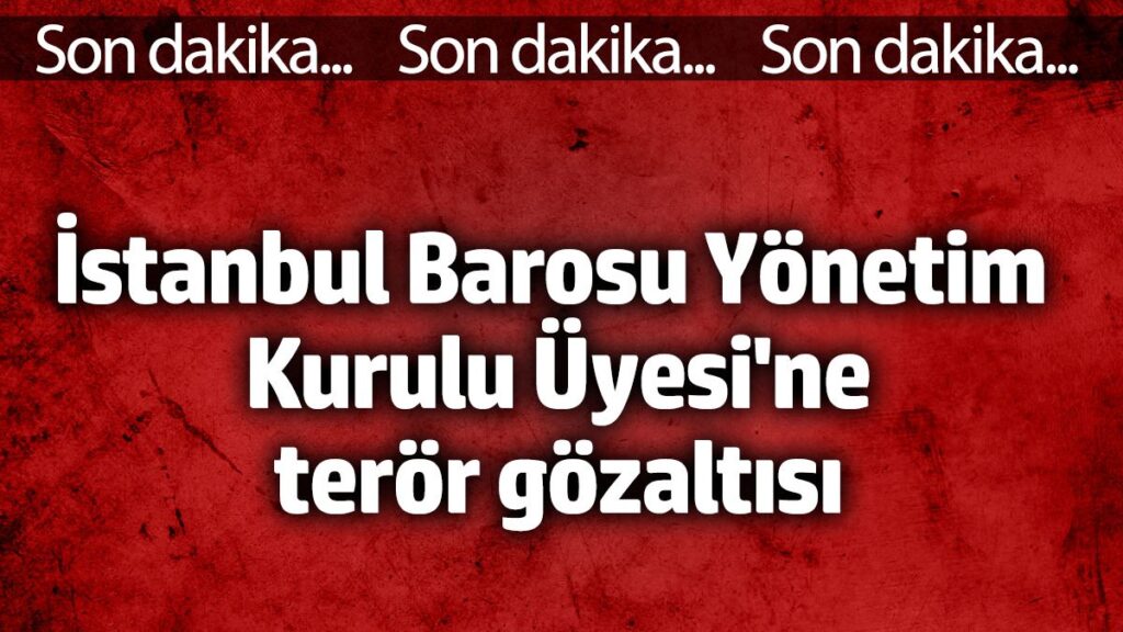 istanbul barosu yonetim kurulu uyesi firat epozdemire teror gozaltisi hxn9t653