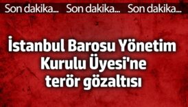 istanbul barosu yonetim kurulu uyesi firat epozdemire teror gozaltisi hxn9t653