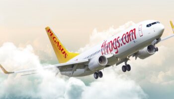 istanbula inecek ucakta erken dogan bebek kurtarilamadi E4Rivlls