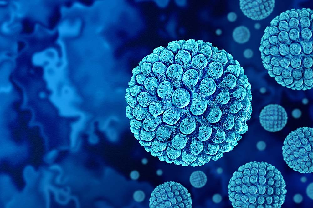 kaliforniyayi yangin sonrasinda norovirus salgini vurdu 3 eYCvKgfR