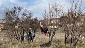 kis ortasinda kurumasi icin agaca asilan elbiseler e6ImuaJO