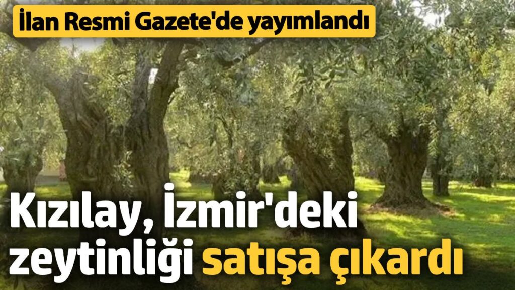 kizilay izmirdeki zeytinligi satisa cikardi milyonlarca tllik ilan resmi gazetede wFltBQKV