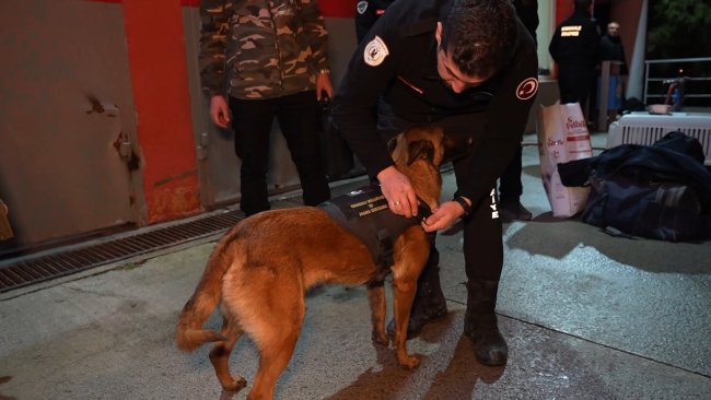 kopekler arama kurtarma calismalari icin konyaya hareket etti 0 WU915agC