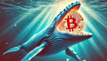 kripto piyasasina deepseek darbesi bhywndHp