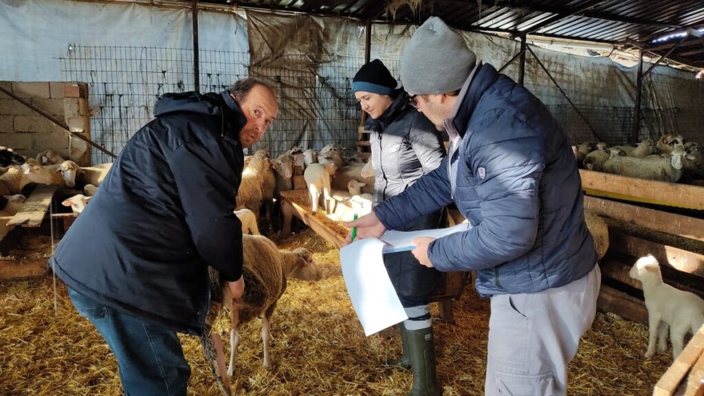 Küçük ve büyükbaş hayvanların kontrolleri yapıldı 1 kucuk ve buyukbas hayvanlarin kontrolleri yapildi 9EgLD9U2