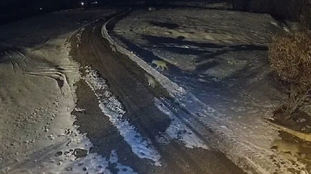 muezzin korku dolu anlar yasadi canini zor kurtardi 1 TK7NMgPt