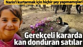narin davasi gerekceli kararinda kan donduran satilar narini kurtarmak icin hic bir sey yapmamislar WlFpPWhC