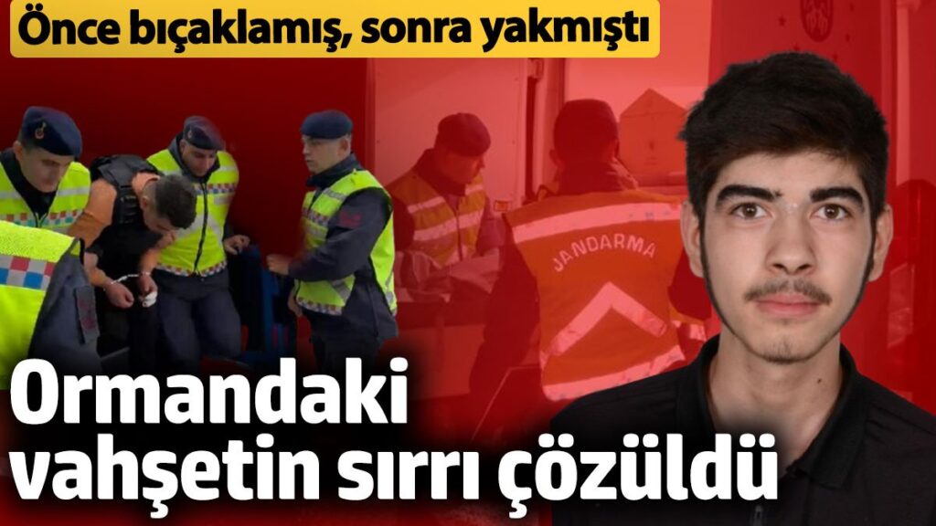 ormandaki vahsette yeni gelisme korkunc cinayette sir perdesi aralandi AmIiDLYT