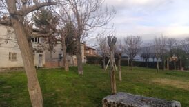 park alanlarda budama calismalari suruyor MXLWp3Xx