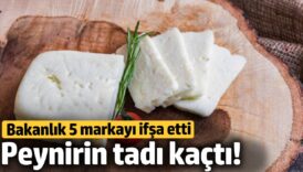peynirin tadi kacti bakanlik 5 markayi ifsa etti cutUD6YJ