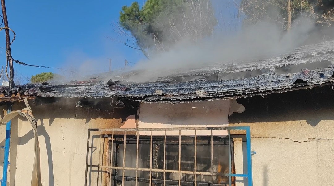 piknik tupu bomba gibi patladi 3 FjDYFkHF