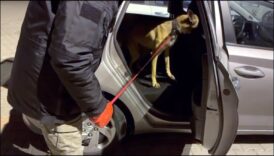 polis zehir tacirlerini kiskivrak yakaladi qAyYySdb