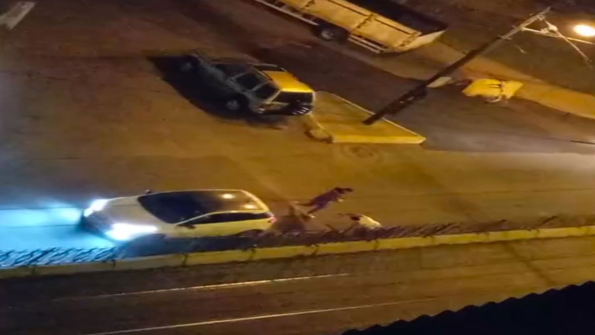 polisin silah cekip kovaladigi uyusturucu saticisi yorulunca yakalandi 0 OwcPgDcc