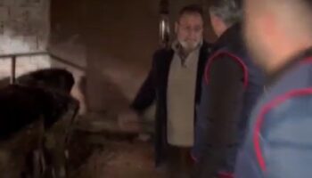 sakaryada buyukbas hayvan hirsizligi operasyonu 7 tutuklama LMBX986B