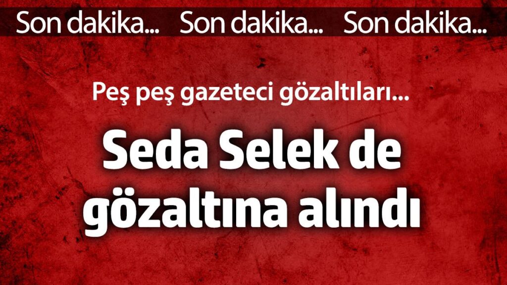 seda selek gozaltina alindi pes pese gazetecilere gozalti iukOY2ep