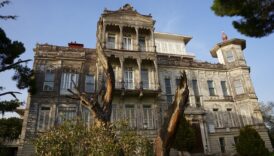 sehirlerin unutulmus koselerinde sanatin yeseren yuzu terkedilmis alanlarda hayat bulan sanat Xrbn3RKT