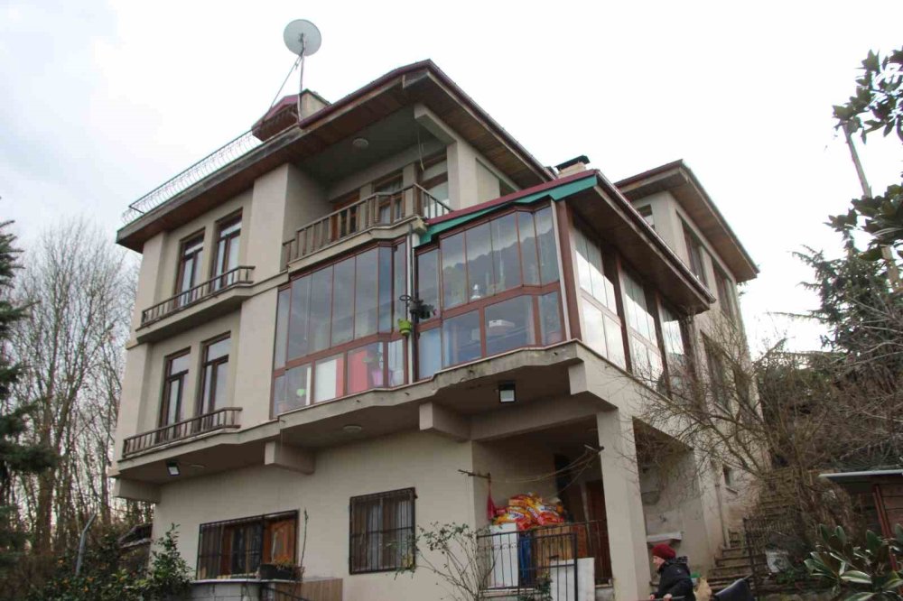 sevimli dostlari ona o da onlara hayat oldu 10 bl2I8wDV