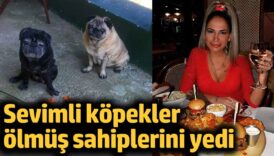 sevimli kopekler olmus sahiplerini yedi URUKeg6A