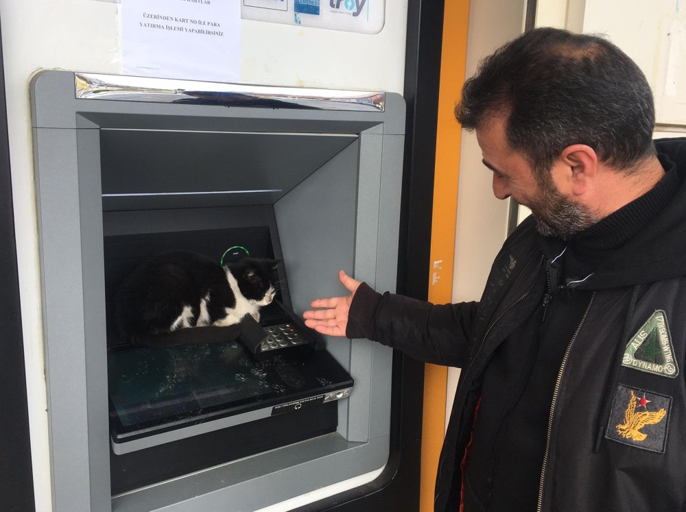 sogukta atmye sigindi gelenleri islem icin bekletti 1 LXvrIJHu
