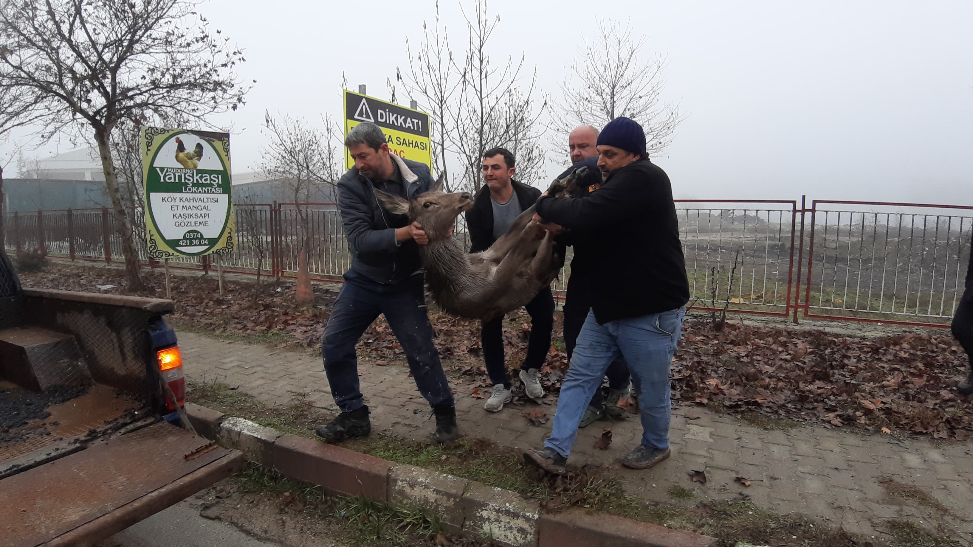 sokak kopeklerinden zor kurtardilar 3 5HdFaAhX