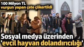 sosyal medya uzerinden evcil hayvan dolandiriciligi m7F9EWiP