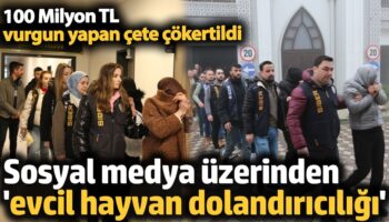 sosyal medya uzerinden evcil hayvan dolandiriciligi m7F9EWiP