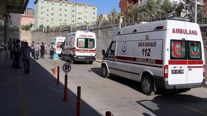sosyetenin semti leventte dram isinmak icin yaktiklari mangal 2 kardesin sonu oldu 0 ZBcfjESh