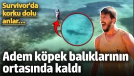 survivorda korku dolu anlar adem kilicci kopek baliklarinin ortasinda kaldi Hxblh2Ij