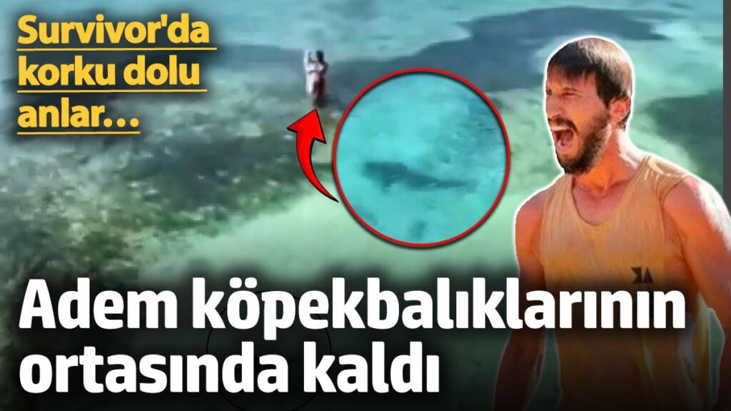 survivorda korku dolu anlar adem kilicci kopekbaliklarinin ortasinda kaldi mQpHGf2u