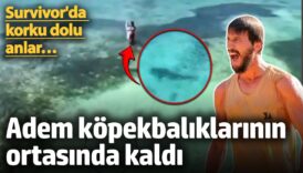 survivorda korku dolu anlar adem kilicci kopekbaliklarinin ortasinda kaldi mQpHGf2u