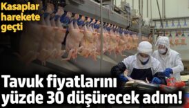 tavuk fiyatlarini yuzde 30 dusurecek adim kasaplar harekete gecti Z9gwqvUg