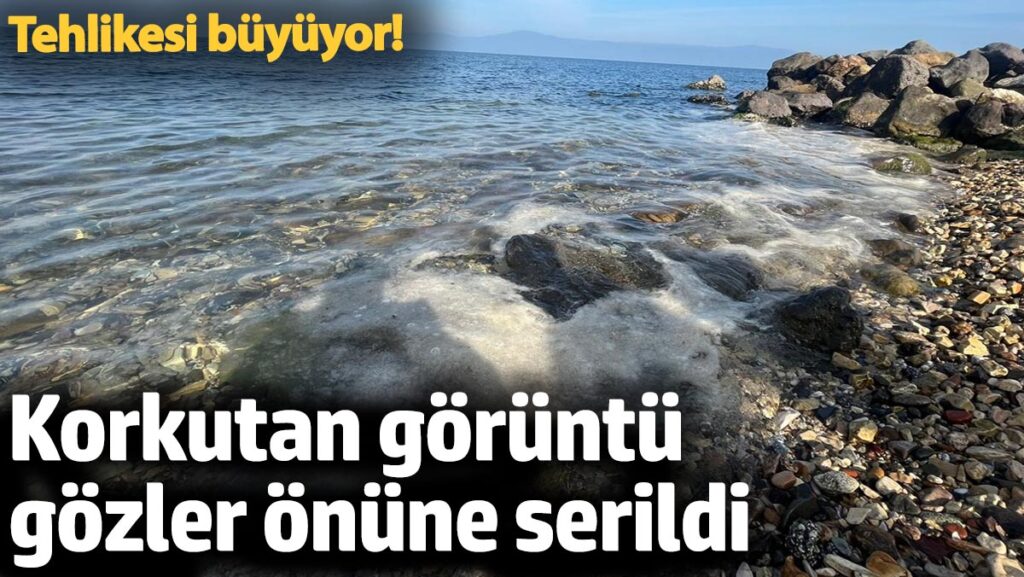 tehlikesi buyuyor korkutan goruntu gozler onune serdi DmDQPuJt