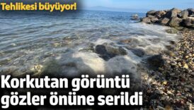 tehlikesi buyuyor korkutan goruntu gozler onune serdi DmDQPuJt