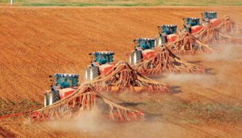tigem 2025te 346 bin ton uretim rekoltesi hedefliyor A7XUrdME