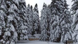 uludagda kar kalinligi 76 santimetreye yukseldi iaJTSszY