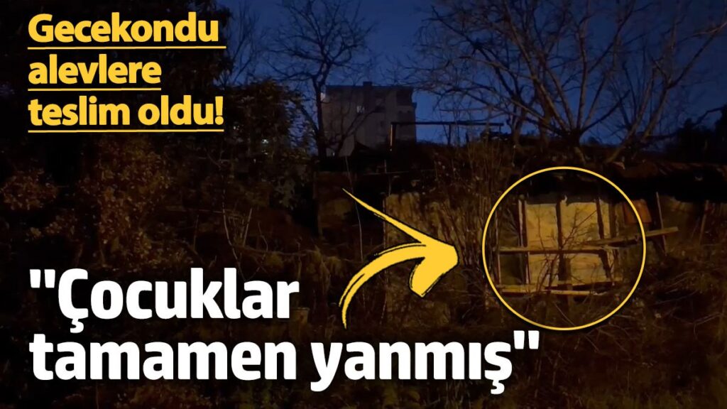 uskudarda gecekonduda yangin panigi 2 kisi yasamini yitirdi GiN3OnDC