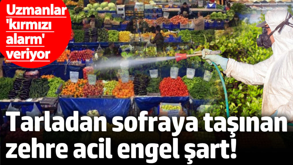 uzmanlar kirmizi alarm veriyor tarladan sofraya tasinan zehre acil engel sart xZ4DWOvp
