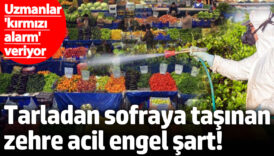 uzmanlar kirmizi alarm veriyor tarladan sofraya tasinan zehre acil engel sart xZ4DWOvp