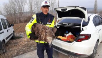 yarali akbabaya jandarma sahip cikti 6BZNWxpy