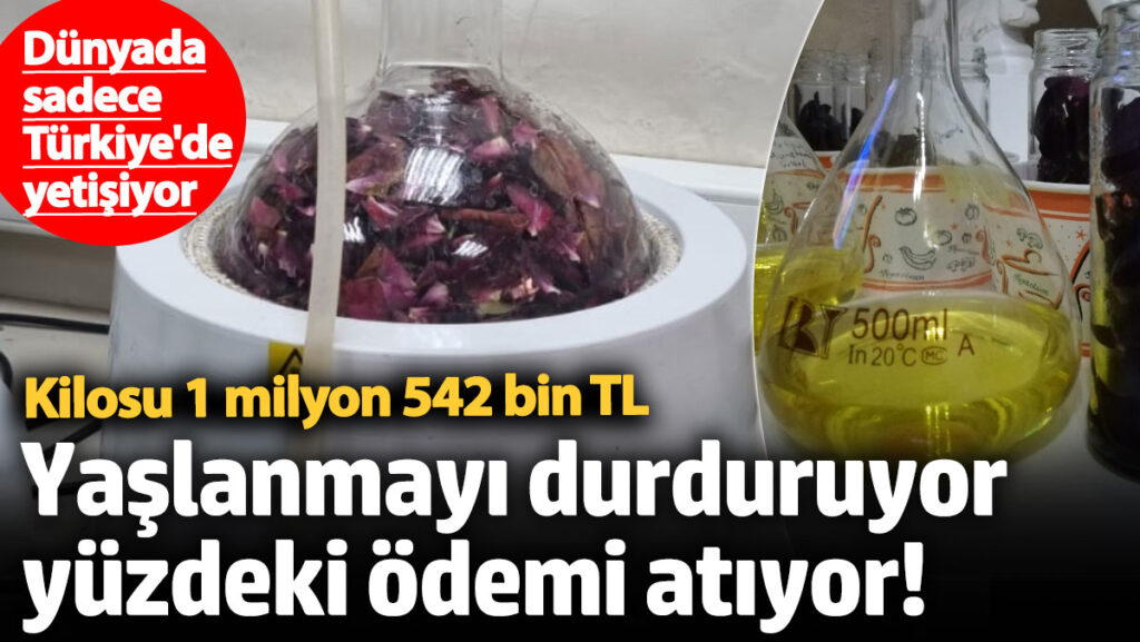yaslanmayi durduruyor yuzdeki odemi atiyor dunyada sadece turkiyede yetisiyor kilosu 1 milyon 542 bin 3rnfc47t
