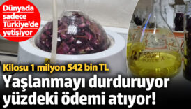 yaslanmayi durduruyor yuzdeki odemi atiyor dunyada sadece turkiyede yetisiyor kilosu 1 milyon 542 bin 3rnfc47t