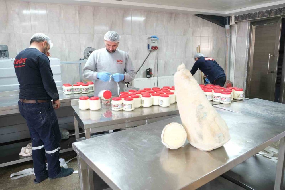 yayladan sofraya erzincan tulum peyniri 0 nckOgq4h