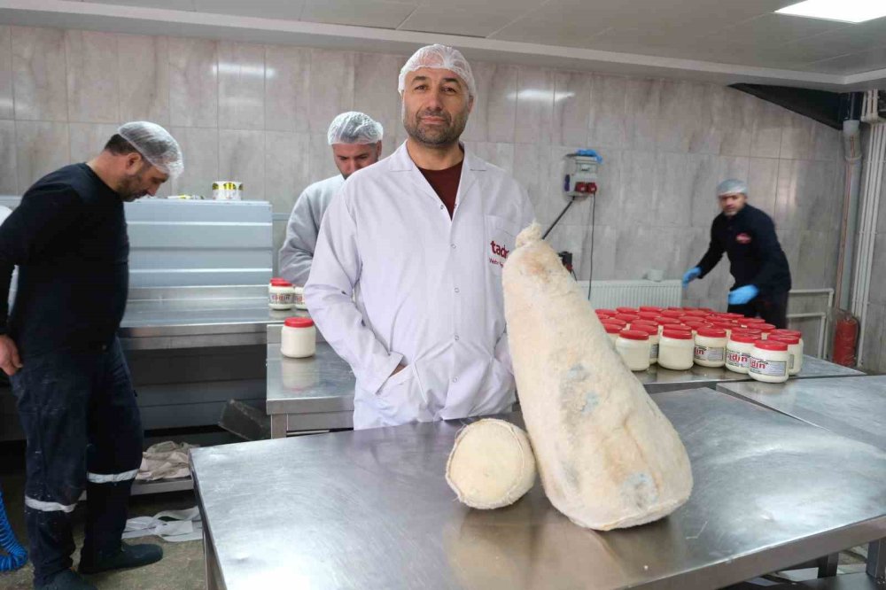 yayladan sofraya erzincan tulum peyniri 3