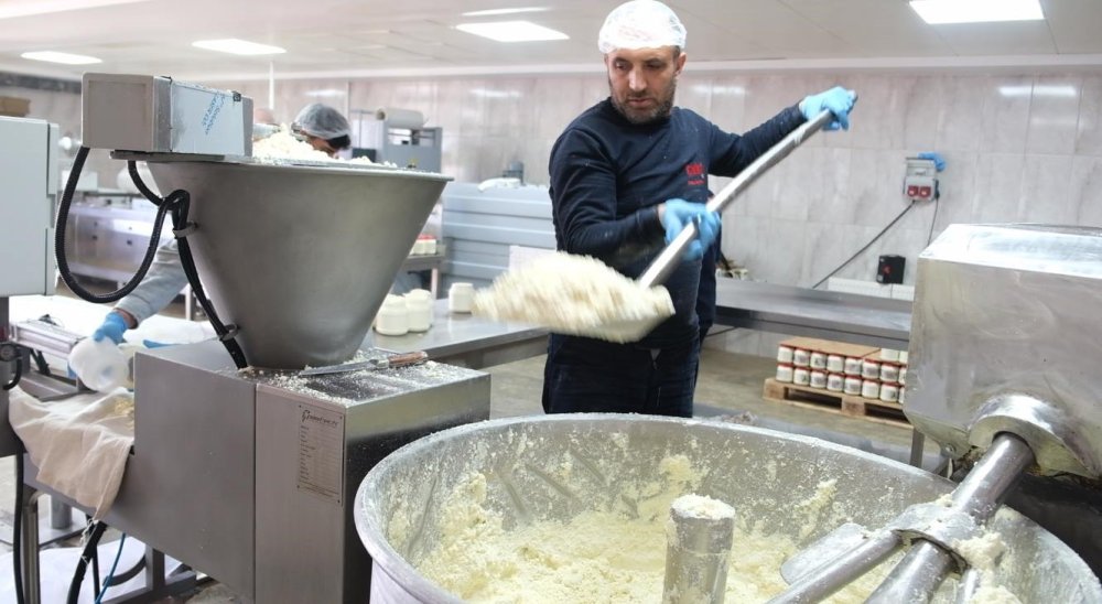 yayladan sofraya erzincan tulum peyniri 4 DDzwSz9Z